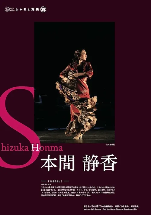 Paseo Flamenco Article